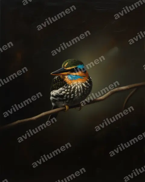 Oil illustration: Actenoides lindsayi (Spotted Wood Kingfisher)