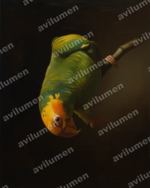 Oil illustration: Alipiopsitta xanthops (Yellow-faced Parrot)