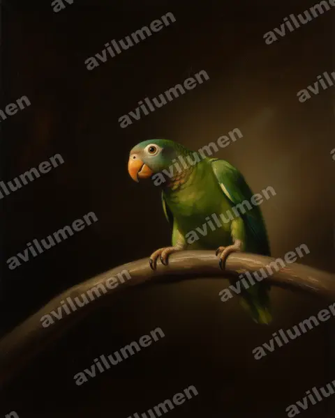 Illustration Huile : Amazona collaria (Amazone sasabé)