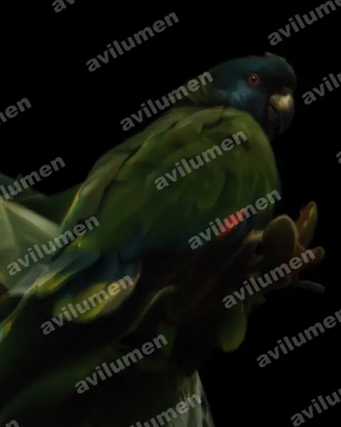 Illustration im Stil Öl: Blaumaskenamazone (Amazona versicolor)