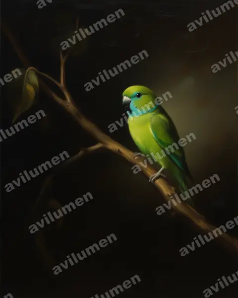 Illustration im Stil Öl: Stummelschwanzpapagei (Bolbopsittacus lunulatus)