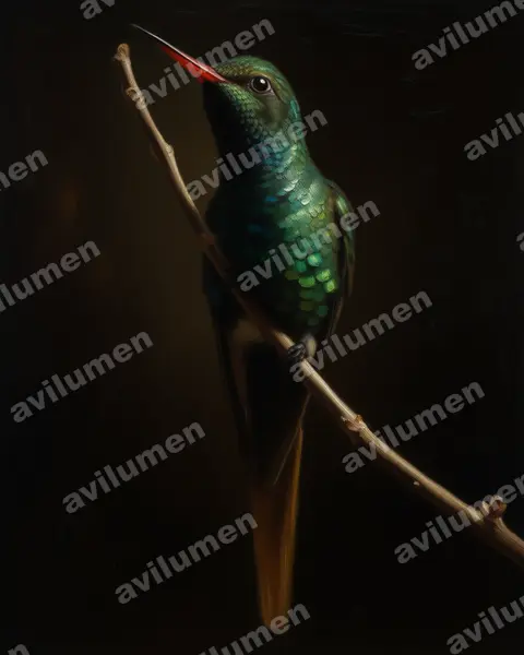 Oil illustration: Chlorostilbon auriceps (Golden-crowned emerald)