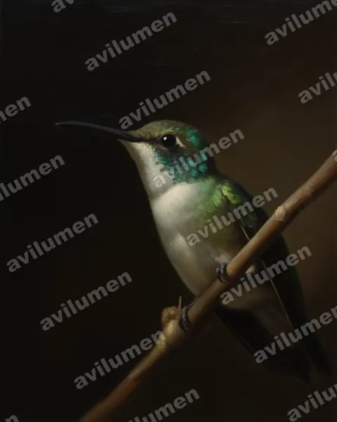 Illustration im Stil Öl: Kurzschnabelamazilie (Chrysuronia brevirostris)