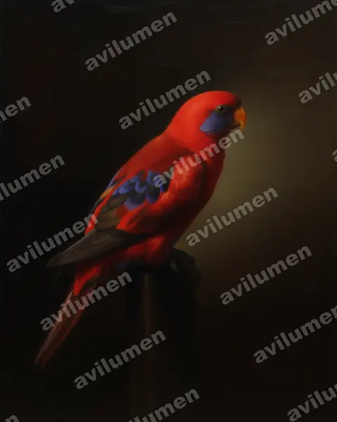 Illustration im Stil Öl: Blue-eared Lory (Eos semilarvata)