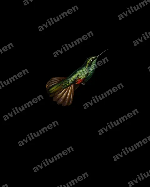 Ilustración en Óleo: Eupherusa poliocerca (Colibrí de Guerrero)