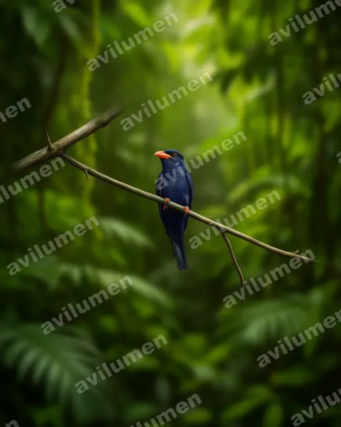 Ilustración en Realista: Eurystomus azureus (Carraca moluqueña)