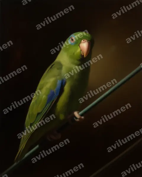 Illustration im Stil Öl: Augenring-Sperlingspapagei (Forpus conspicillatus)