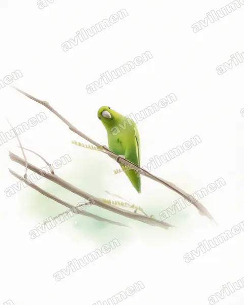 Watercolor illustration: Forpus cyanopygius (Mexican Parrotlet)