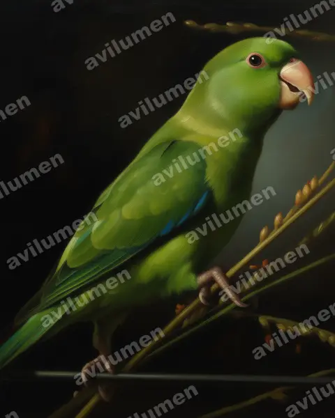 Illustration im Stil Öl: Blauflügel-Sperlingspapagei (Forpus xanthopterygius)