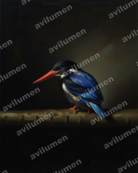 Javan Kingfisher（Halcyon cyanoventris）的油画插画