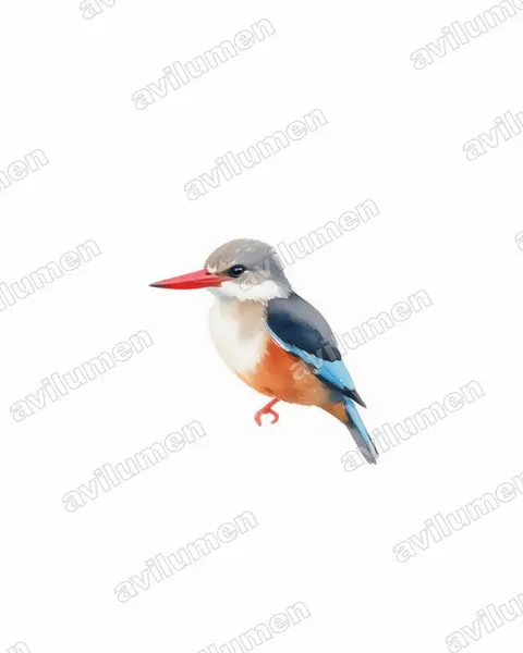 Illustration im Stil Aquarell: Graukopfliest (Halcyon leucocephala)