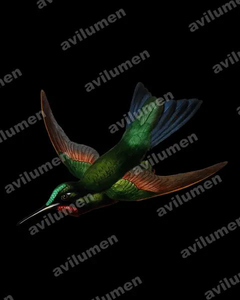 棕甲辉蜂鸟（Heliodoxa branickii）的油画插画