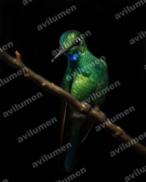 Illustration im Stil Öl: Grünstirn-Brillantkolibri (Heliodoxa jacula)