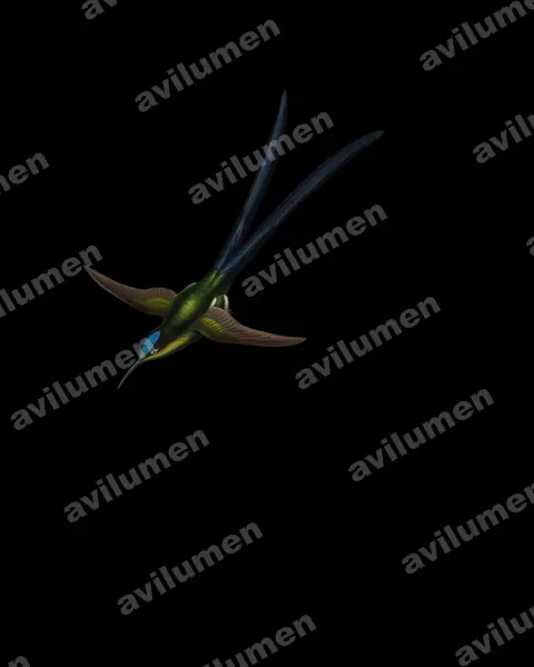 Illustration im Stil Öl: Scherenschwanznymphe (Hylonympha macrocerca)