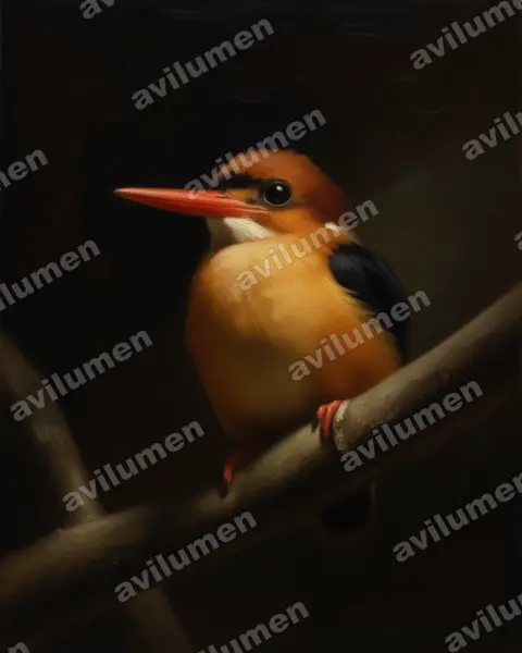 African dwarf kingfisher(Ispidina lecontei)的油画插画