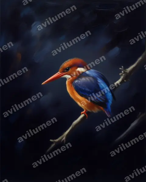 Ilustración en Óleo: Ispidina picta (Martín pigmeo africano)