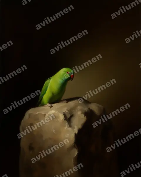 Illustration im Stil Öl: Pygmy Hanging Parrot (Loriculus exilis)