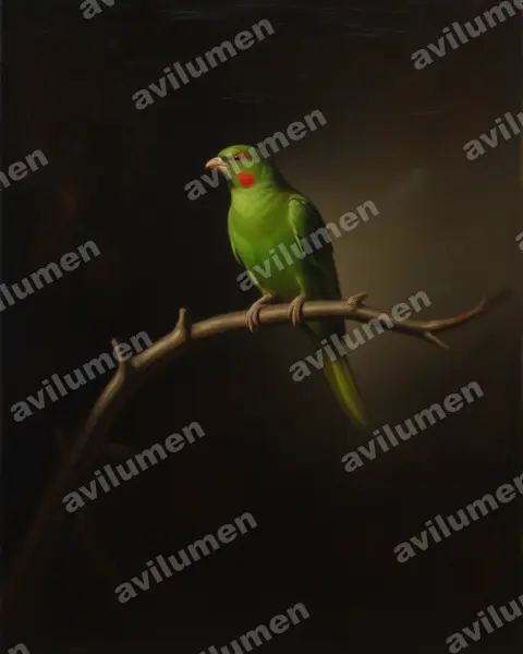 Illustration im Stil Öl: Florespapageichen (Loriculus flosculus)