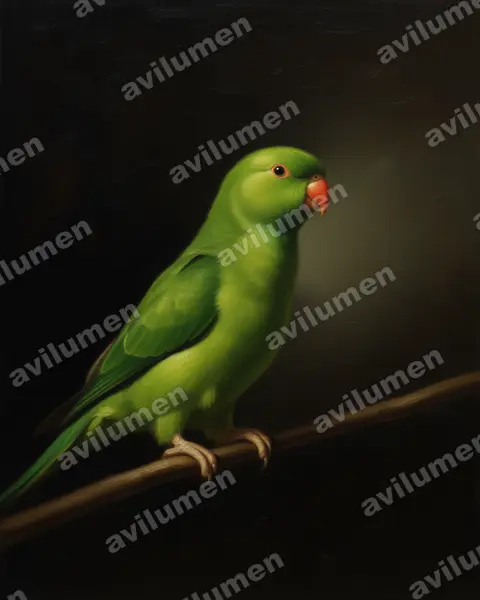 Ilustración en Óleo: Loriculus vernalis (Lorículo vernal)