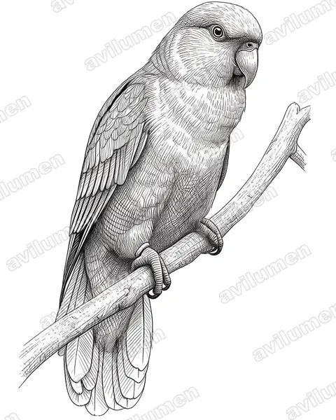 Ilustración en Tinta: Lorius garrulus (Lori gárrulo​)