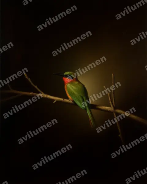 赤喉蜂虎（Merops bulocki）的油画插画