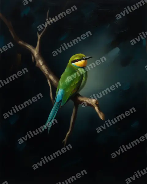 Ilustración en Óleo: Merops hirundineus (Abejaruco golondrina)