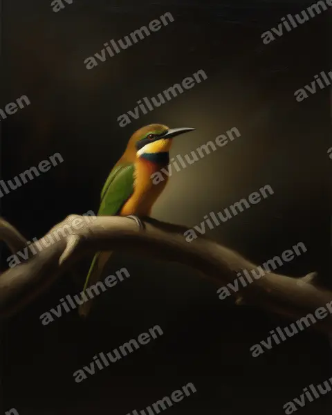 Illustration im Stil Öl: Bergspint (Merops oreobates)
