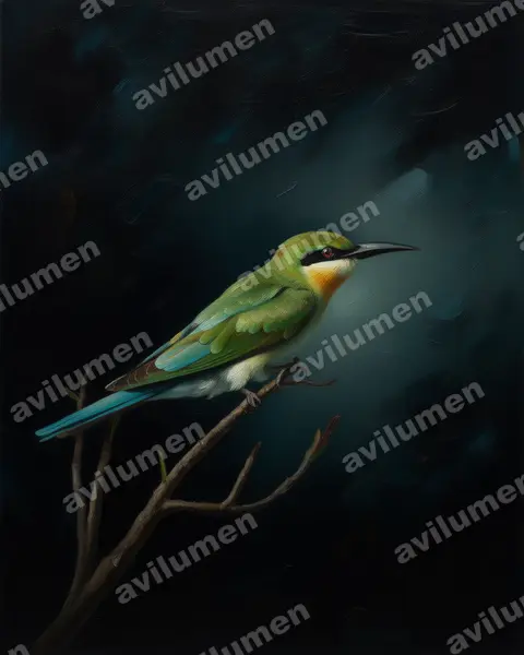 Ilustración en Óleo: Merops philippinus (Abejaruco coliazul)