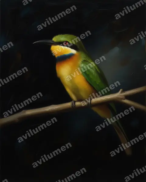 Illustration im Stil Öl: Blaubrustspint (Merops variegatus)