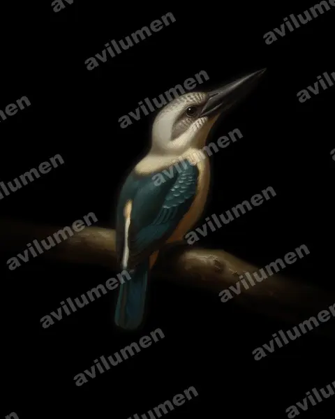 Ilustración en Óleo: Pelargopsis melanorhyncha (Alción piquinegro)
