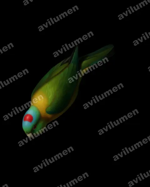 Illustration im Stil Öl: Olivbrust-Spatelschwanzpapagei (Prioniturus flavicans)