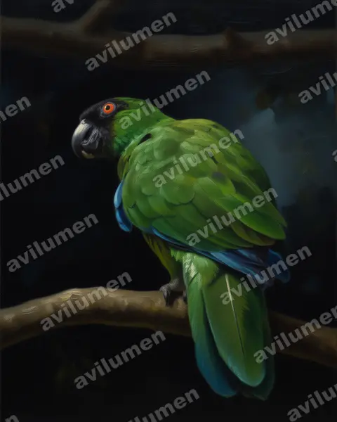 Oil illustration: Prosopeia personata (Masked shining parrot)