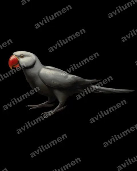 Oil illustration: Psittacula bensoni (Thirioux's Grey Parrot)