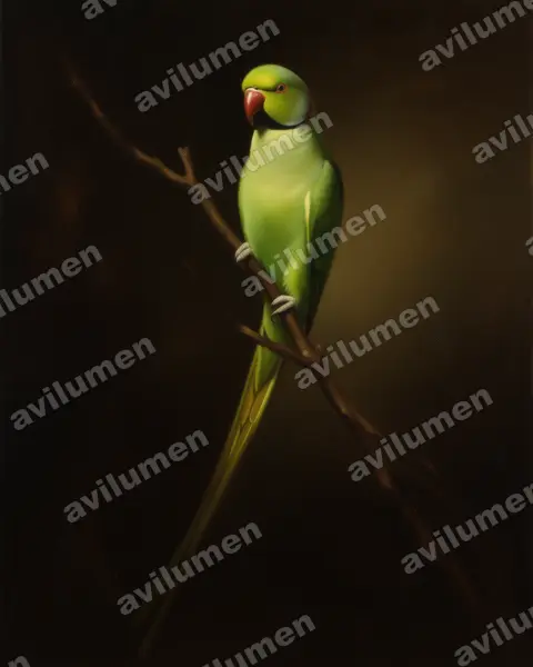 Illustration im Stil Öl: Halsbandsittich (Psittacula krameri)