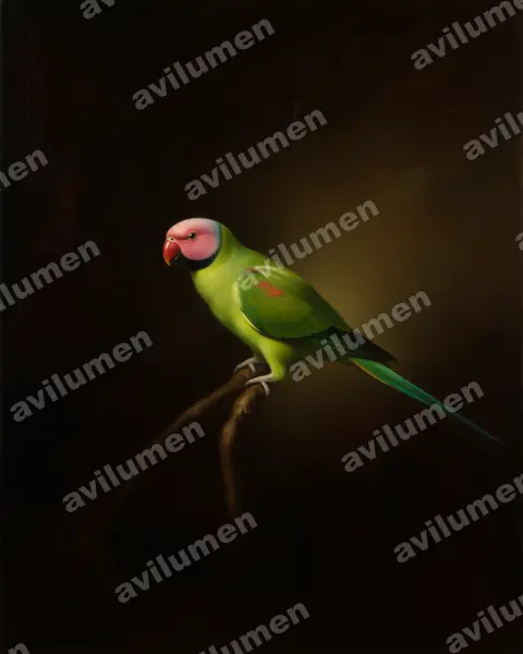 Illustration im Stil Öl: Rosenkopfsittich (Psittacula roseata)