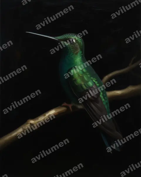 Ilustración en Óleo: Pterophanes cyanopterus (Colibrí aliazul​)