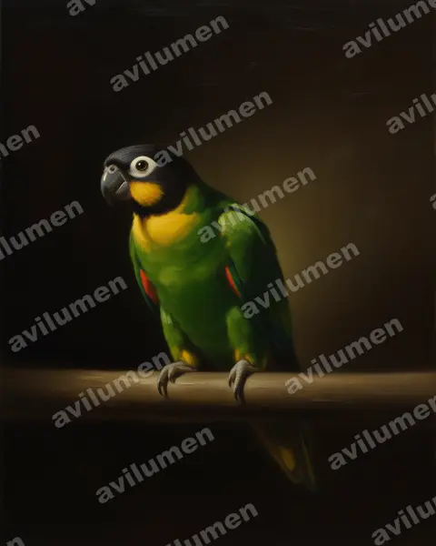 Orange-cheeked parrot（Pyrilia barrabandi）的油画插画