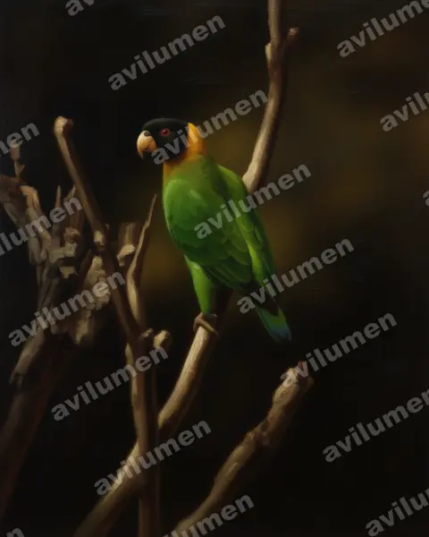 Illustration im Stil Öl: Caica Parrot (Pyrilia caica)