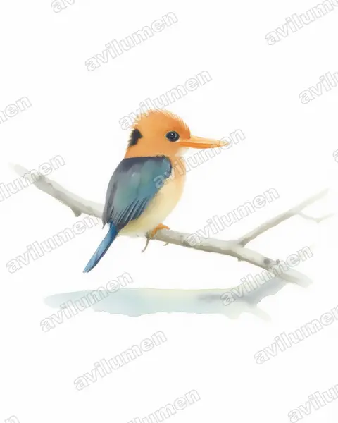 Watercolor illustration: Syma torotoro (Yellow-billed Kingfisher)