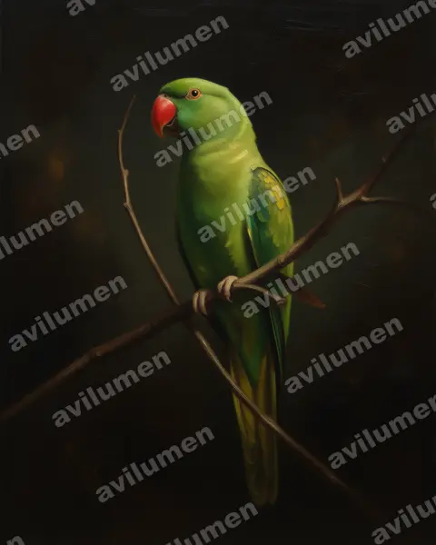 Illustration im Stil Öl: Blue-naped Parrot (Tanygnathus lucionensis)